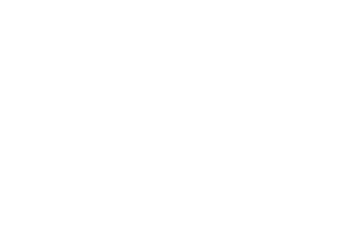 THE CALZONA COLLECTIVE